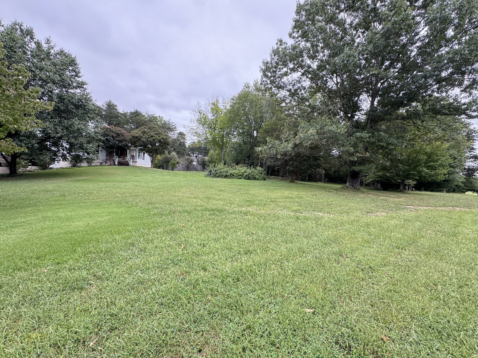 Lawn and mature trees at 504 Sanford Dr, Fredericksburg VA