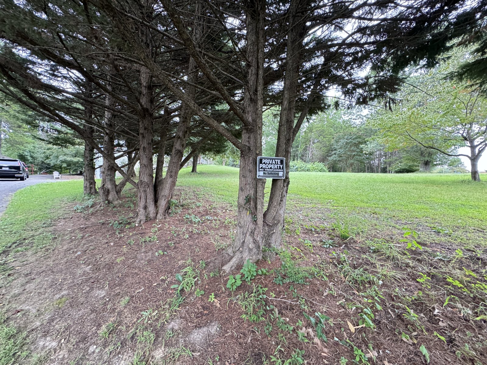 Tree-lined yard at 504 Sanford Dr, Fredericksburg VA