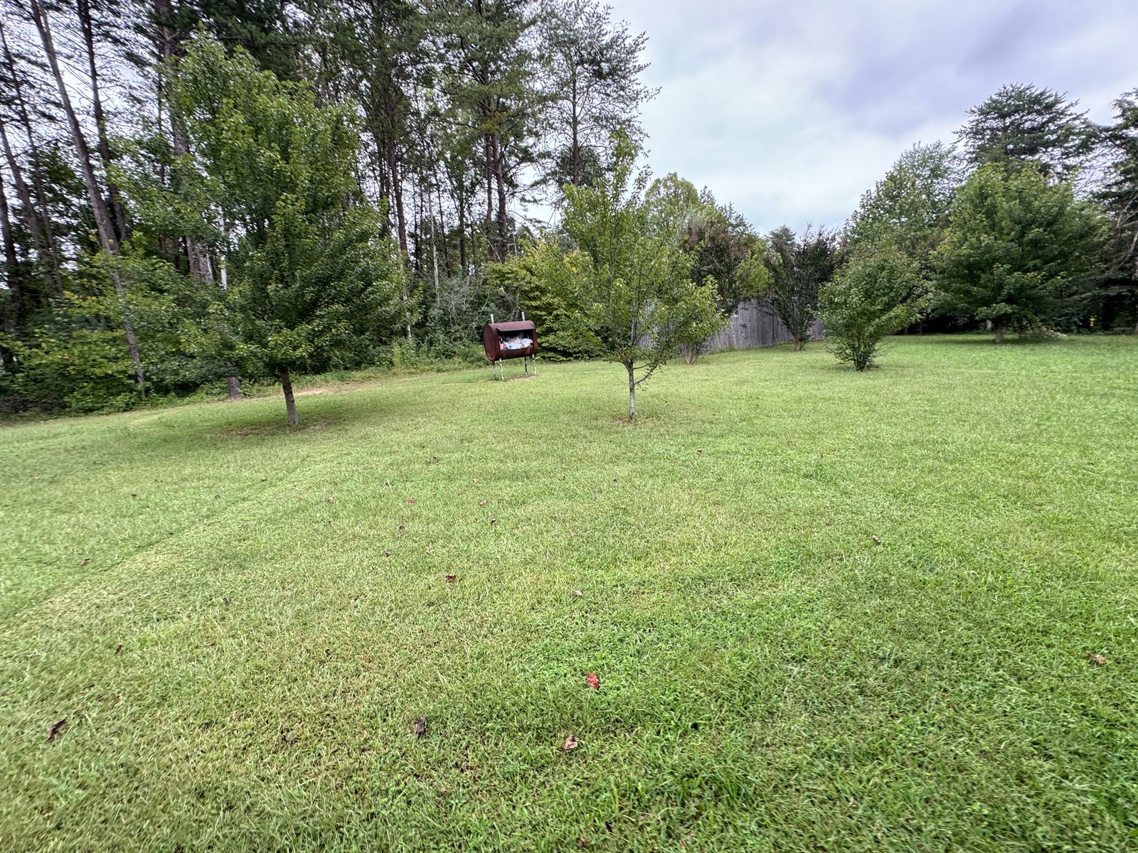 Lawn and garden view at 504 Sanford Dr, Fredericksburg VA