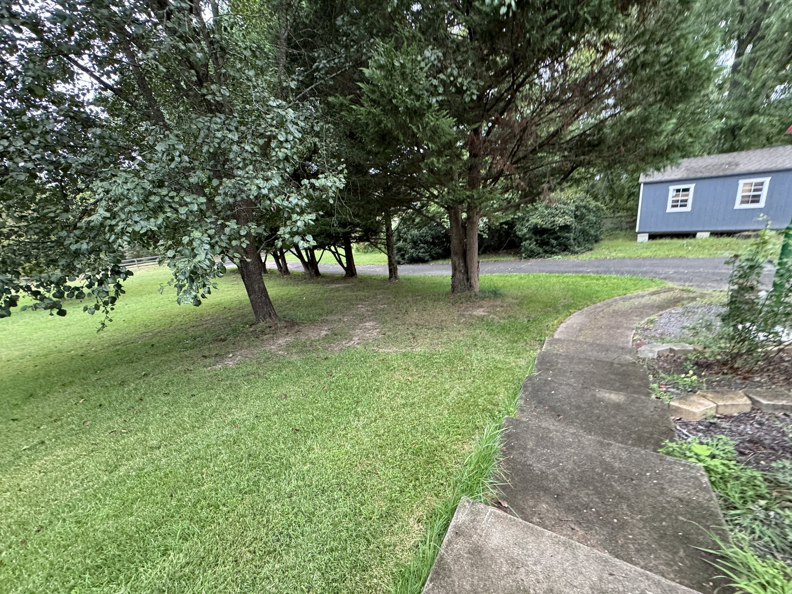 Yard beside the driveway at 504 Sanford Dr, Fredericksburg VA