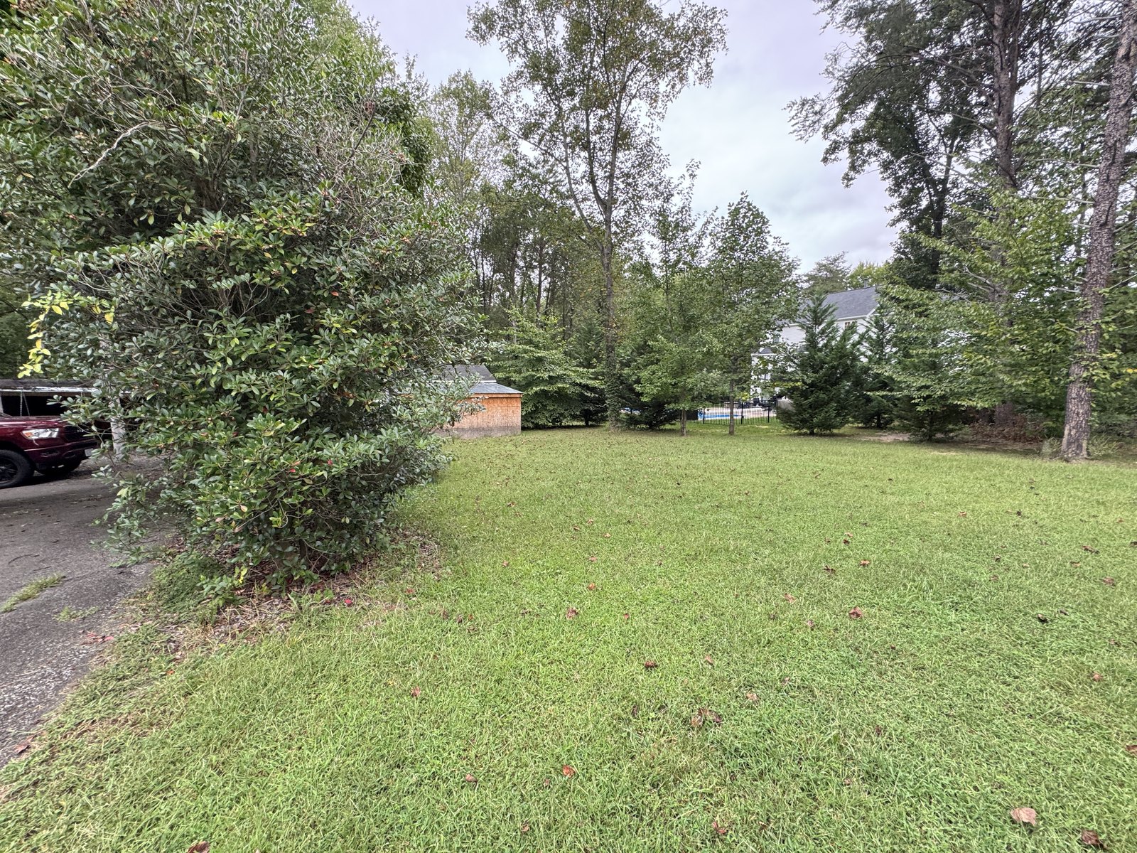 Lawn and trees at 504 Sanford Dr, Fredericksburg VA