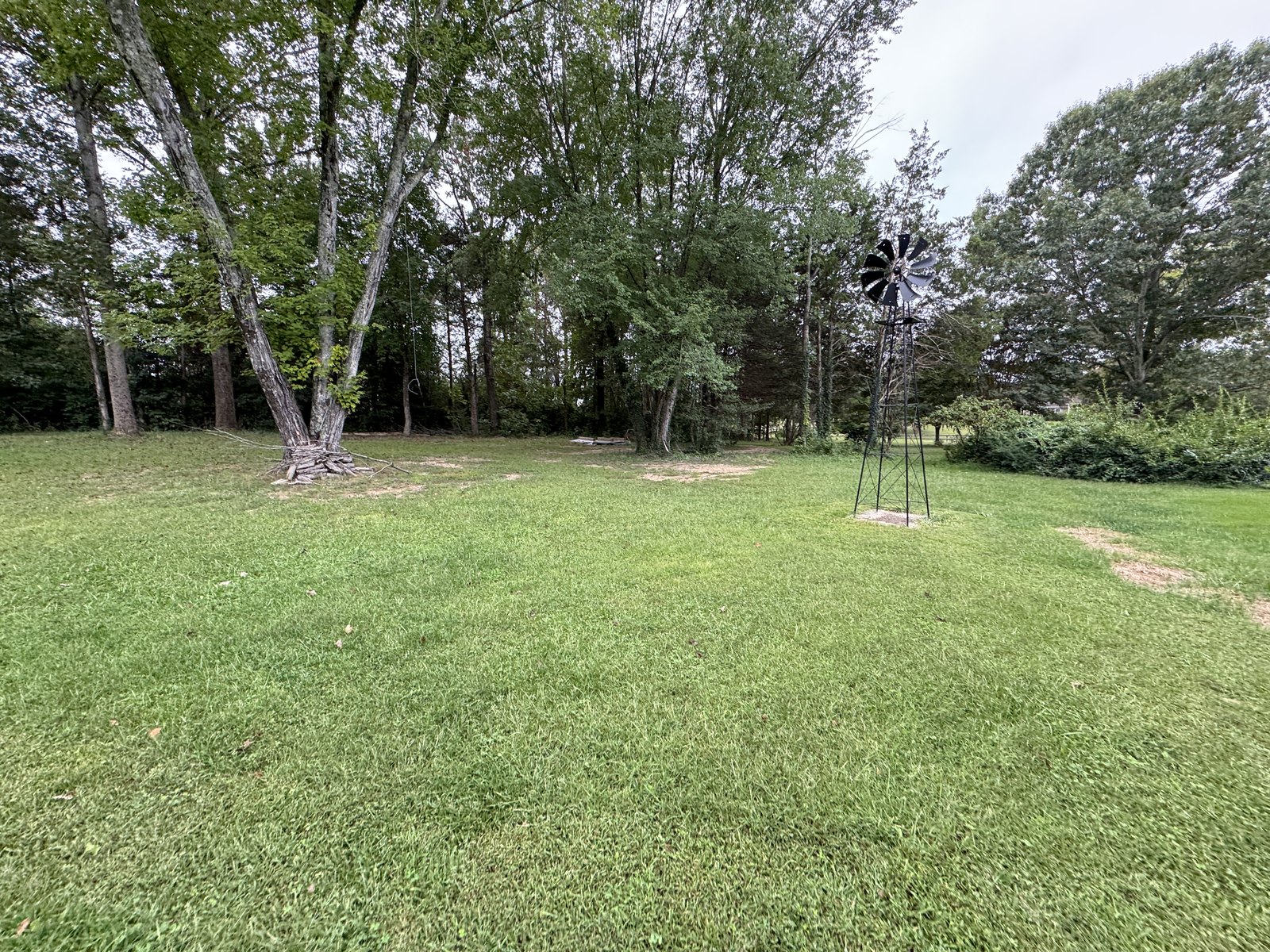Rear lawn at 504 Sanford Dr, Fredericksburg VA